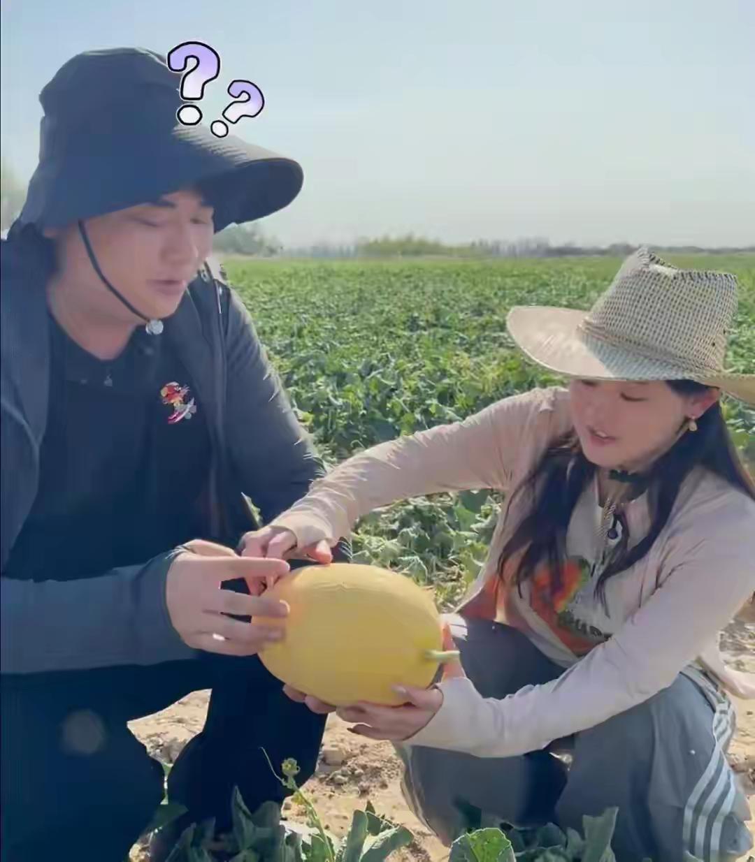 好奇怪，张家齐单播，流量效果一般，全进华单播，数据也不太显眼，但是两人合体直播，