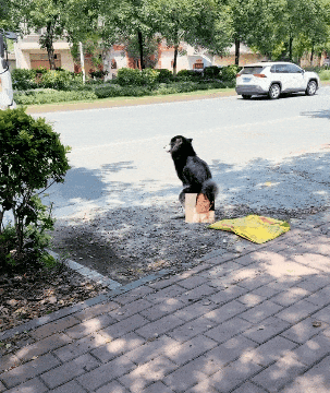 为什么要在我最脆弱的时候

给我最猛烈的攻击？！