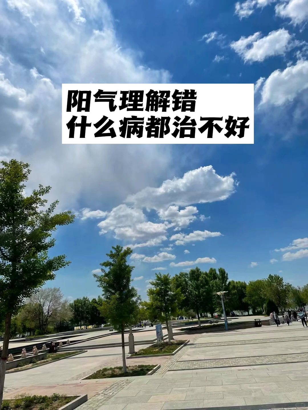 阳气理解错了，什么病都治不好.