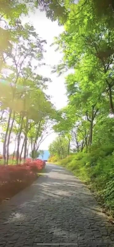 就像种子在土壤里默默扎根，看似沉寂，实则积蓄着破土而出的力量。那些曾经以为无用的