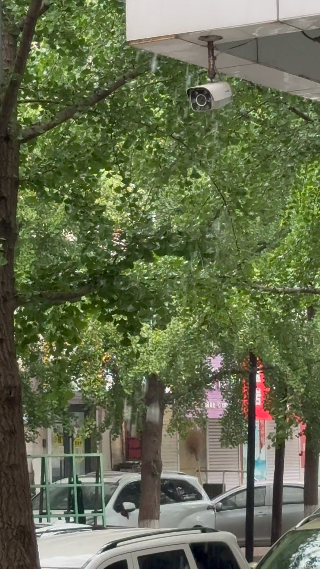 换个bgm下雨天都变得不一样🌧️ （真的巨讨厌下雨 