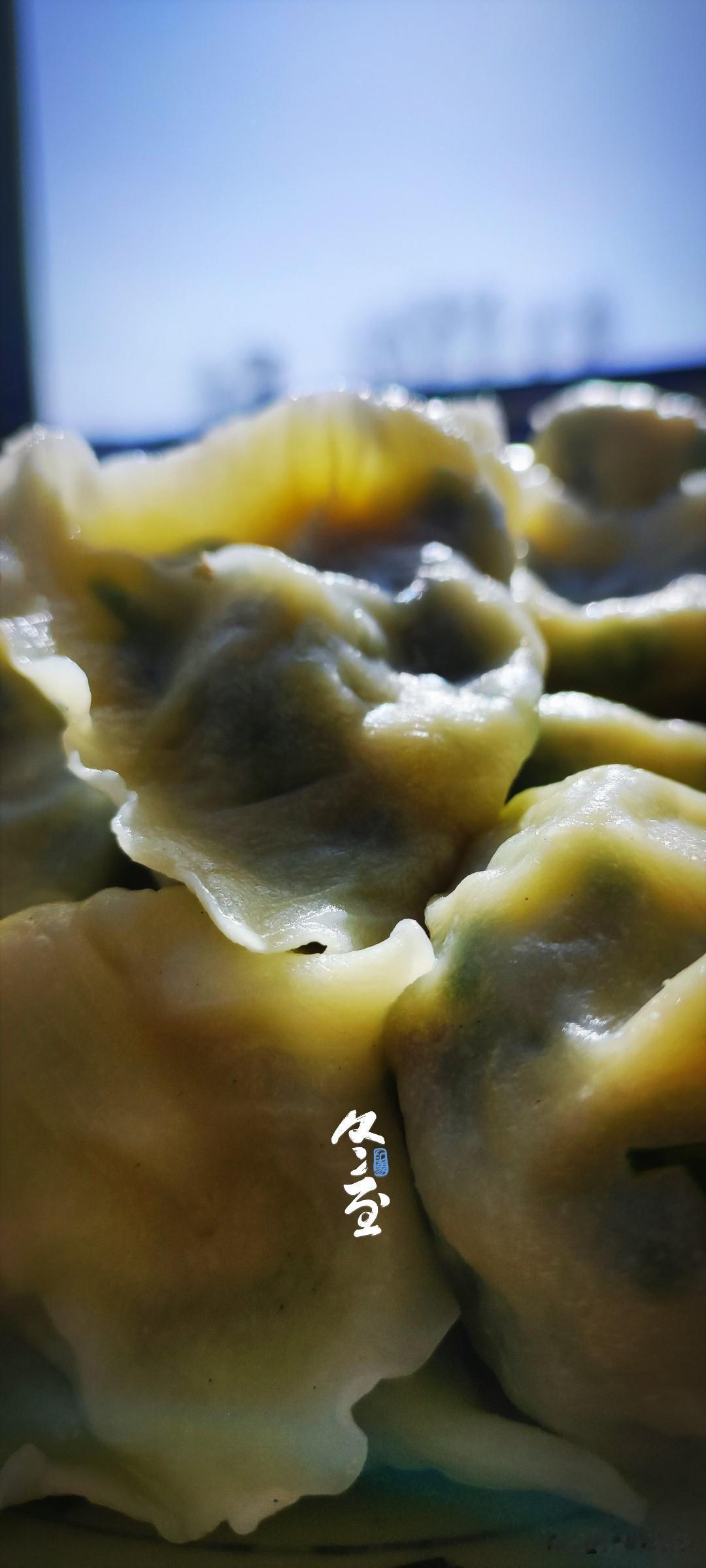 冬日生活打卡季冬至饺子吃啥馅儿的？老爸最近爱上芹菜，碍于没有牙的苦恼，就选择了芹