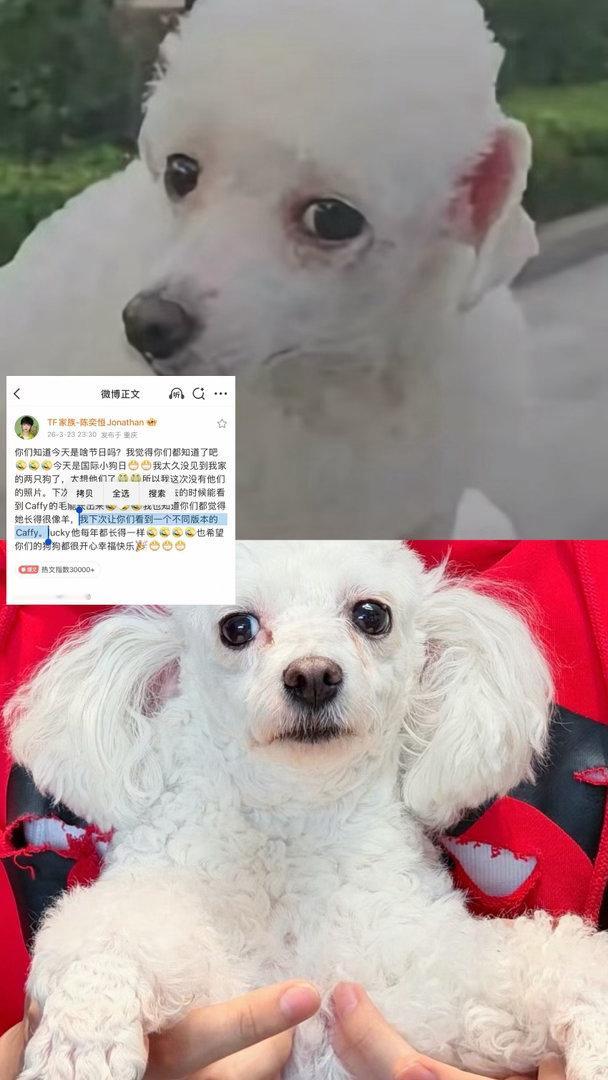 我都拼图拼笑了… ​​​