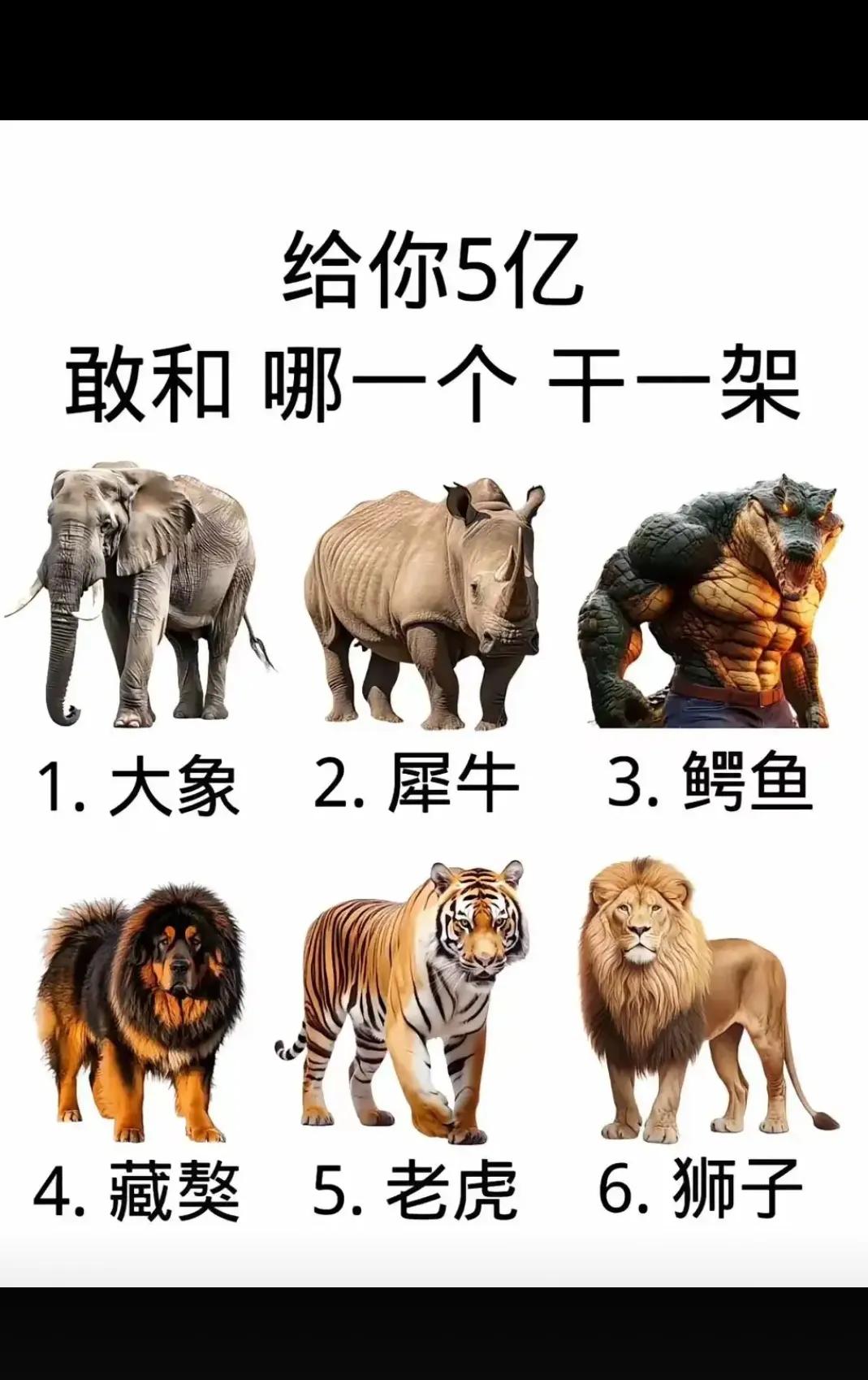你敢跟那个干一架？？？？