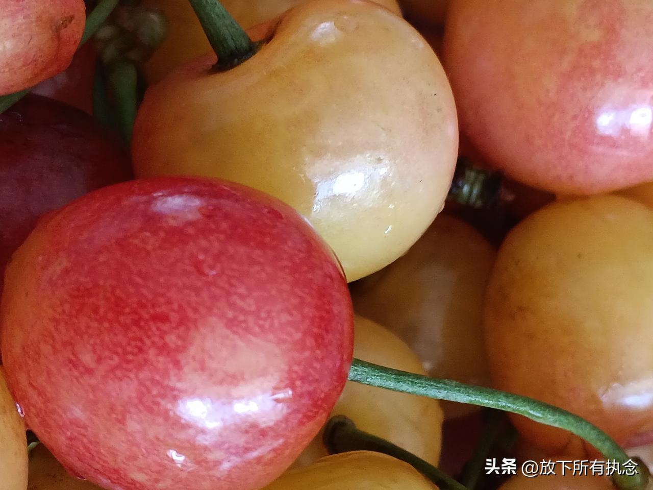 又到了一年一度 樱桃成熟的季节了，我这可不是炫耀哈，樱桃谁都买的起。但是 我今天