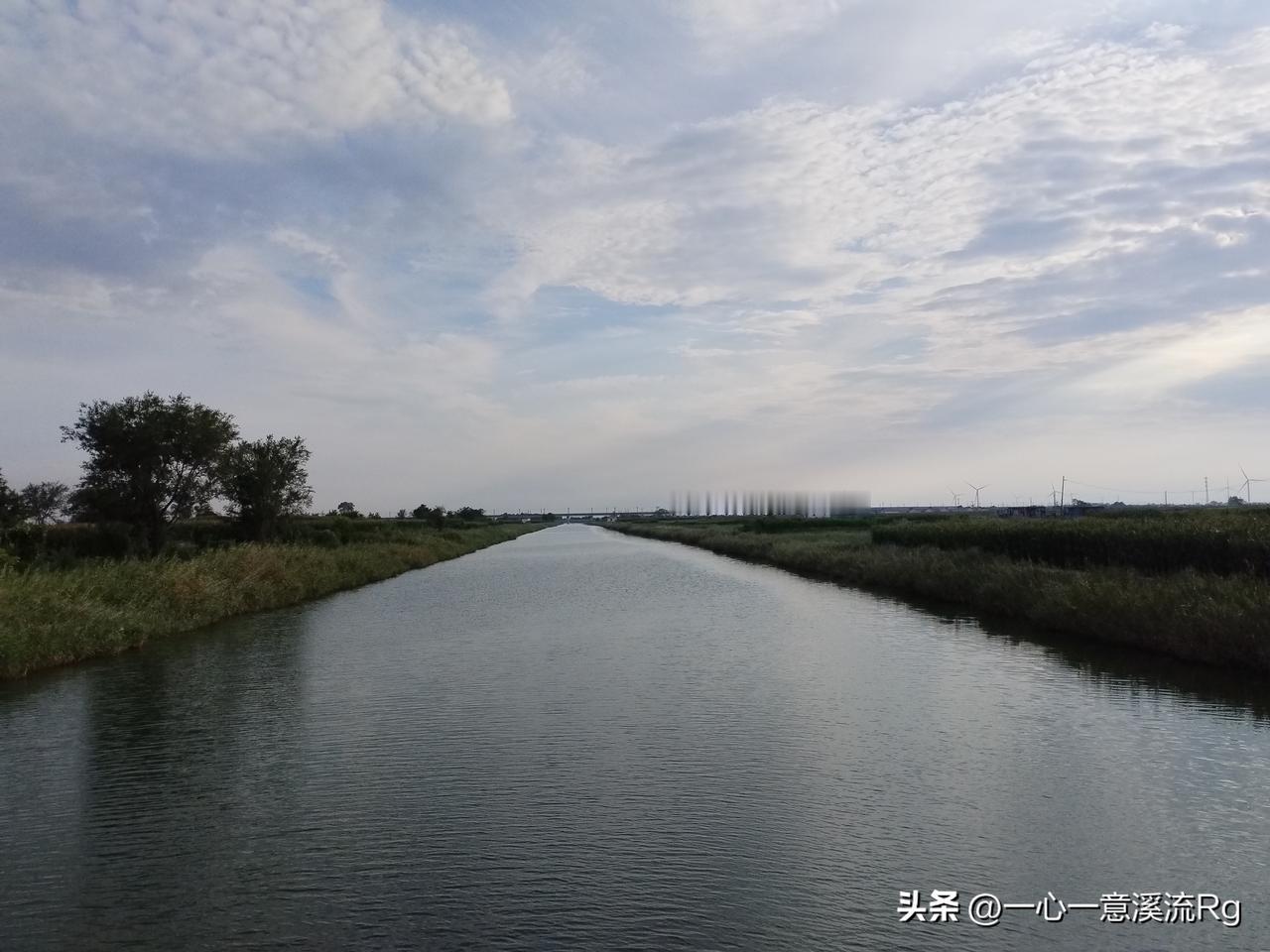 老俗话说燕子低飞蛇过道，蚂蚁搬家蜻蜓聚集，五六月隔道雨，都快到了八月底了，还有这