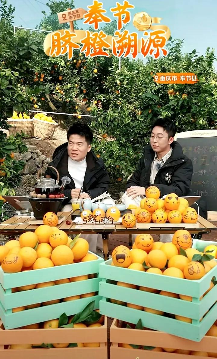哈哈哈你们抢橙子把宇辉抢丢了[呲牙]
万万没想到四小时变成两小时
近60万单啊[