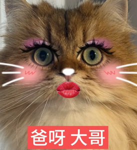 迪丽热巴陈飞宇 情侣手链淘宝谁不能买我请问？现在造谣越来越容易了，没认识之前带的