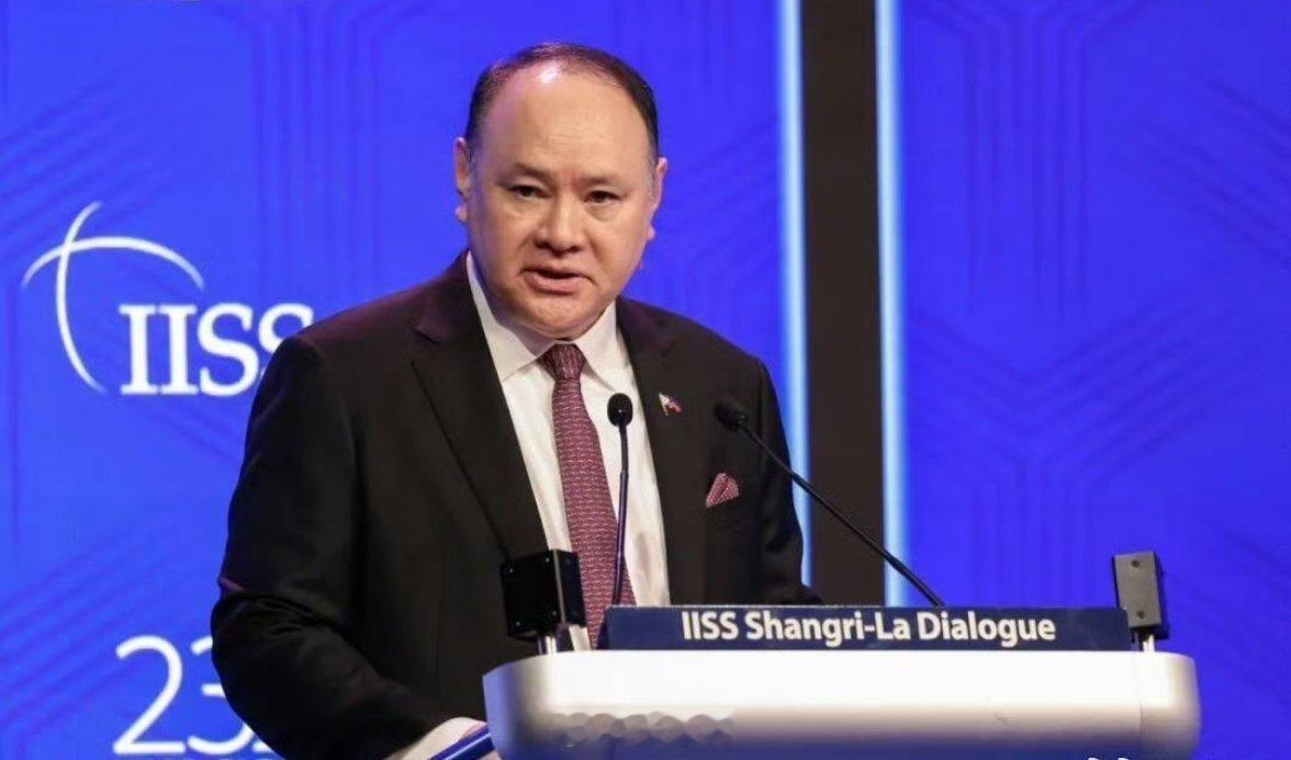 菲律宾国防部长华裔血统特别反华中方制裁菲国防部长这类人虽有华裔血统，但成长环境、