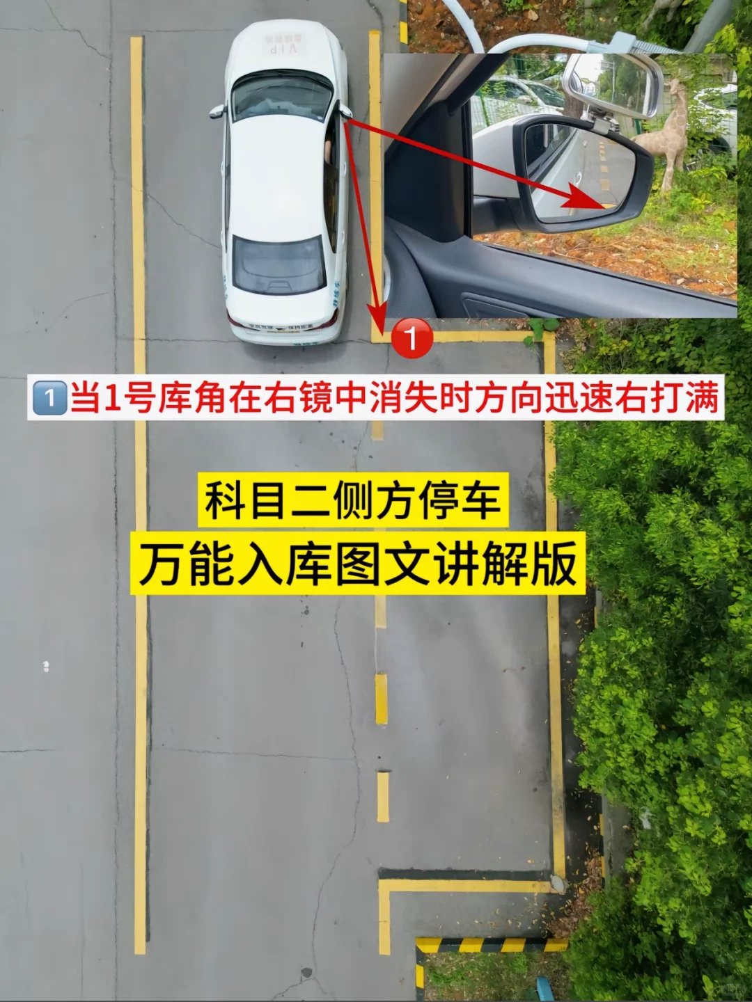 你还不知道侧方停车怎么倒车的吗⁉️
