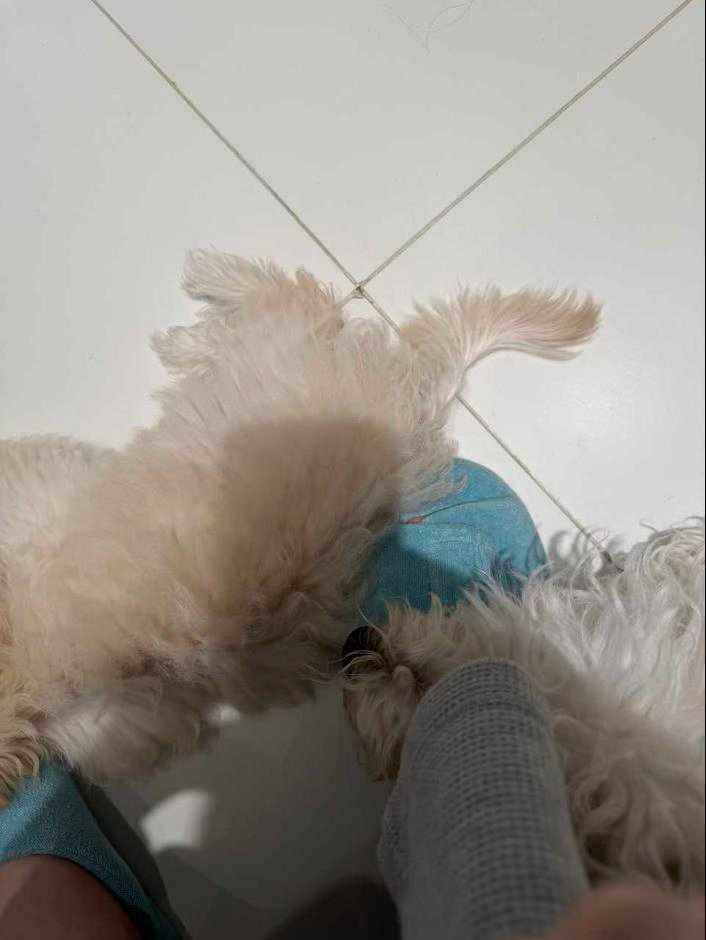 妈妈的小跟班 ​​​