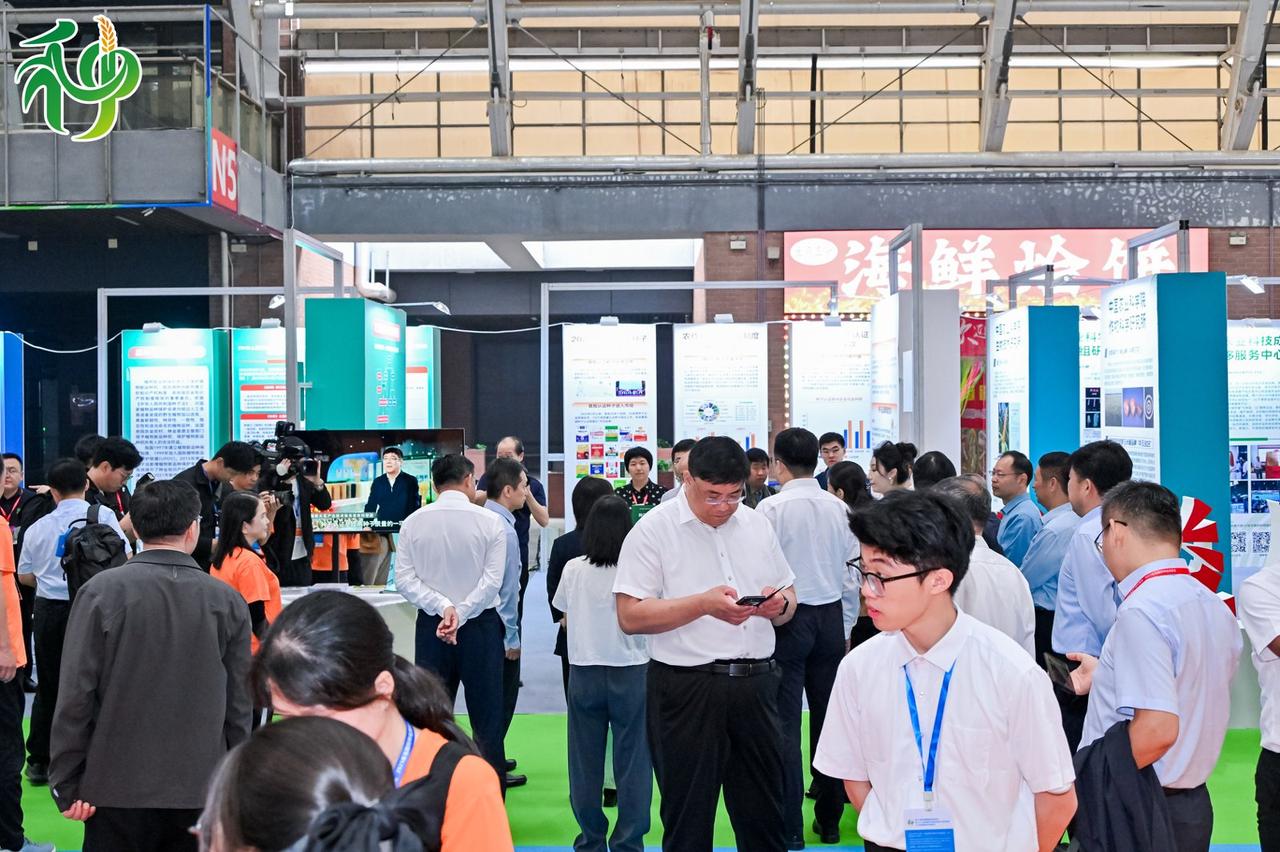100亩水稻+25亩玉米！合肥田间地头藏着种业“王牌部队”！2026年9月10—