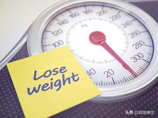 复旦研究：轻断食12周，内脏脂肪降30%，体重只降1.5公斤