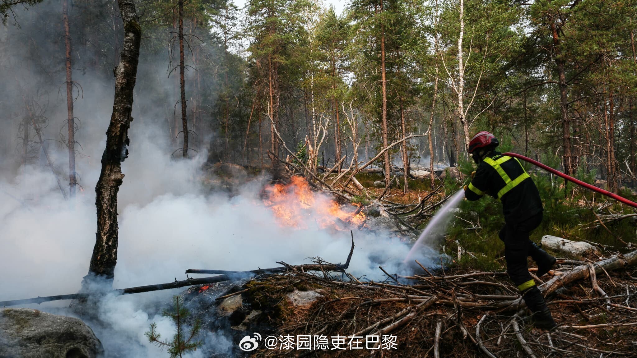 海外新鲜事 在枫丹白露火灾事件立案调查中，已有六人被拘留，其中一名志愿消防员承认