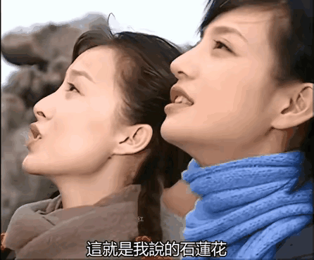 不愧是琼瑶女主角，各有各的美，看一眼就能分辨出谁是谁，对我们脸盲人非常友好，反观