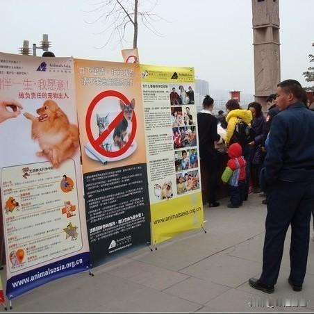 “反虐待动物保护法”的出台是文明发展的必然，根本容不下抬杠的余地。目前全球已有1