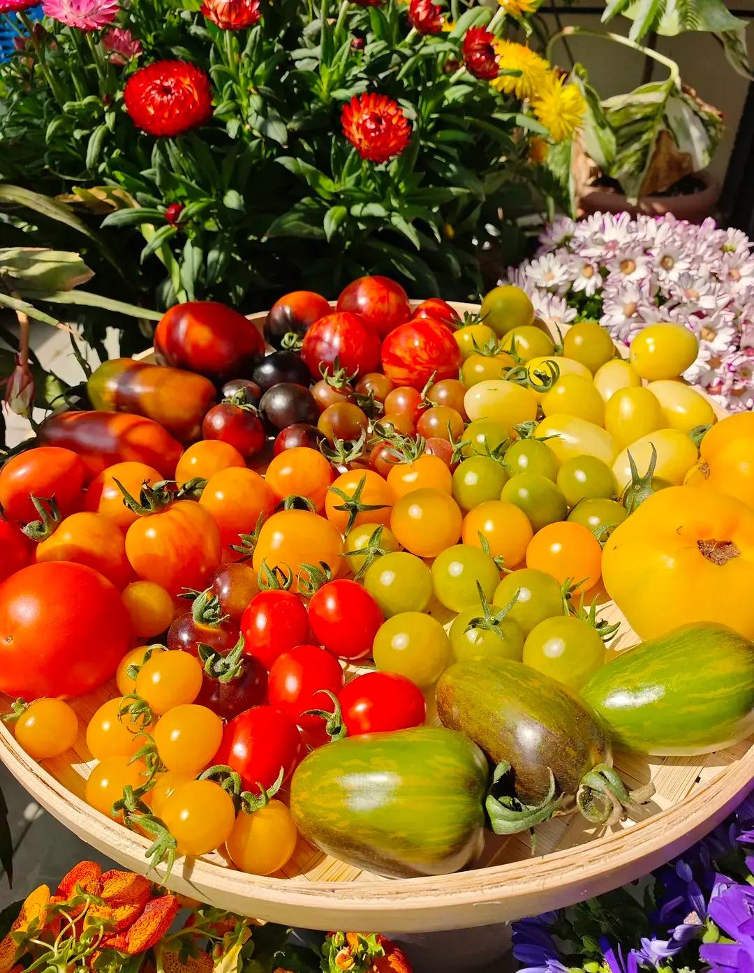 十年时间踩过的坑，现在才明白的人生哲理：

1. 朋友圈：少发、少晒娃、少秀恩爱