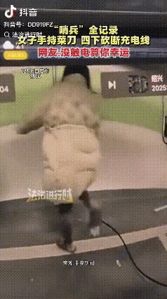 浙江绍兴，一名女子不知何故手持菜刀，在一个地下车库内四下砍断正在充电的充电桩电线