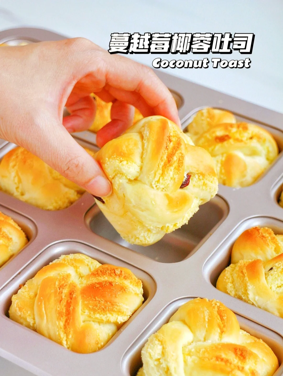 吃不腻❗柔软拉丝❗迷你蔓越莓椰蓉吐司