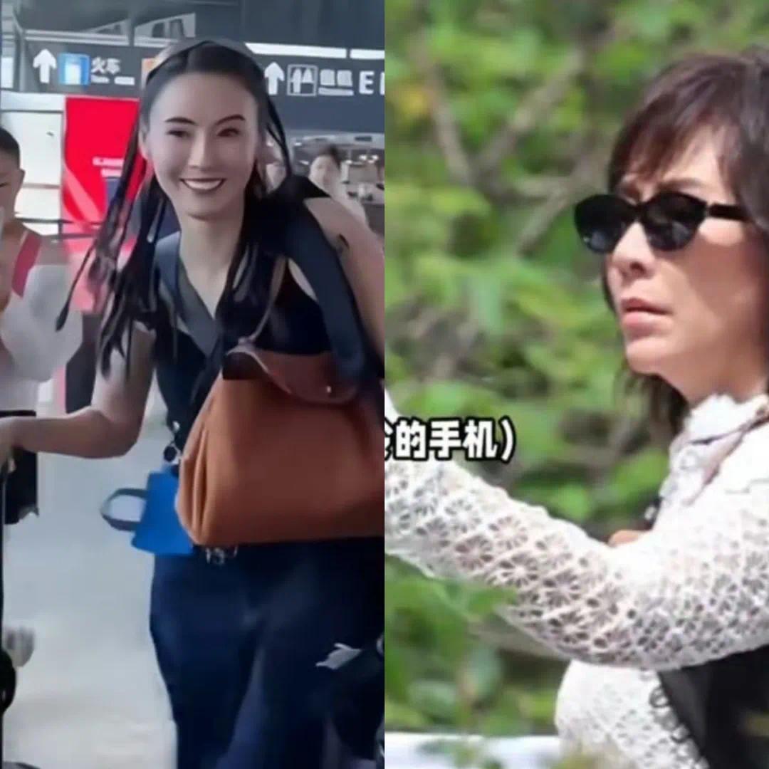 张柏芝不录《一路繁花》了

是被人排挤吗

有消息传出张柏芝不录《一路繁花》了，