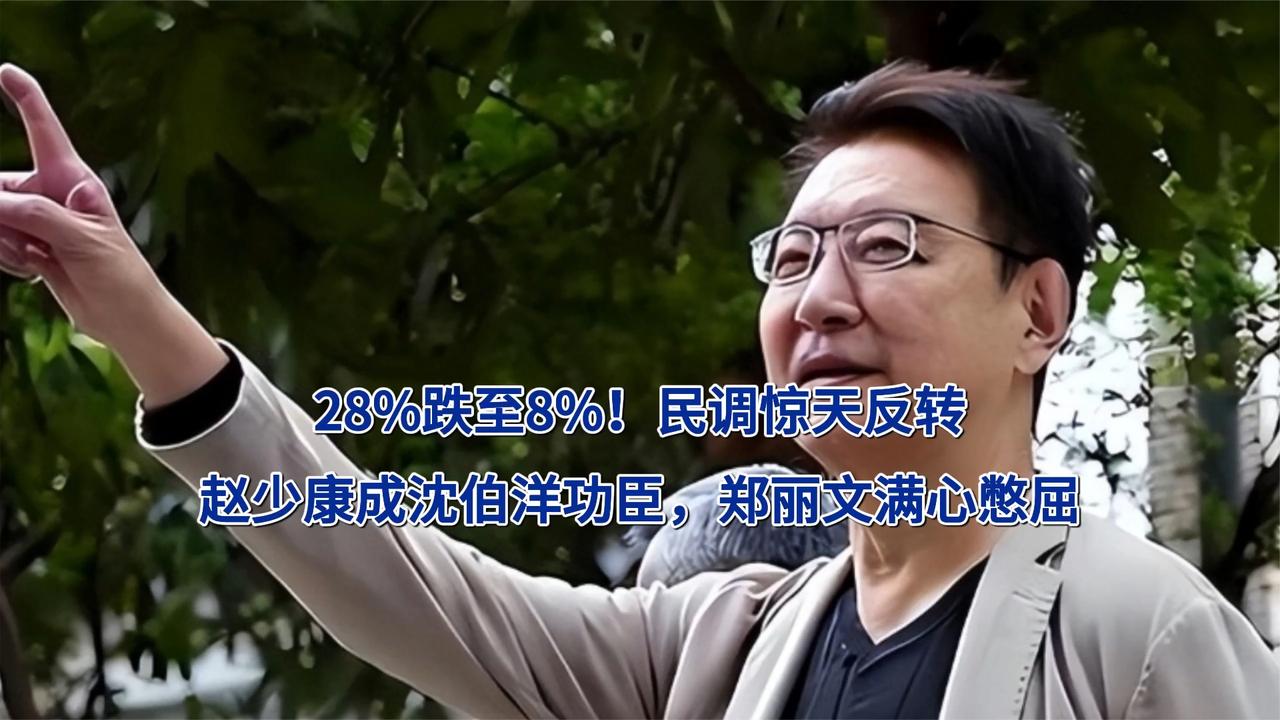 28%跌至8%！民调惊天反转，赵少康成沈伯洋功臣，郑丽文满心憋屈