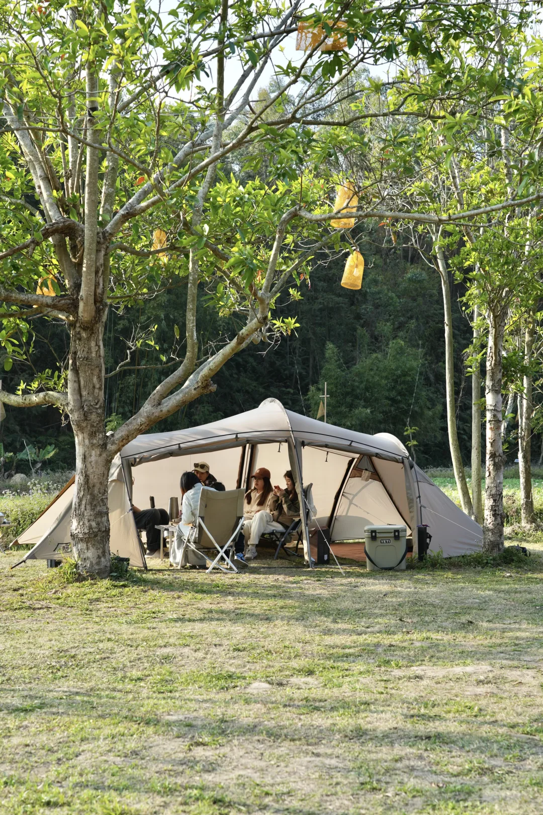 有朋自上海来，尚能饭否🍚