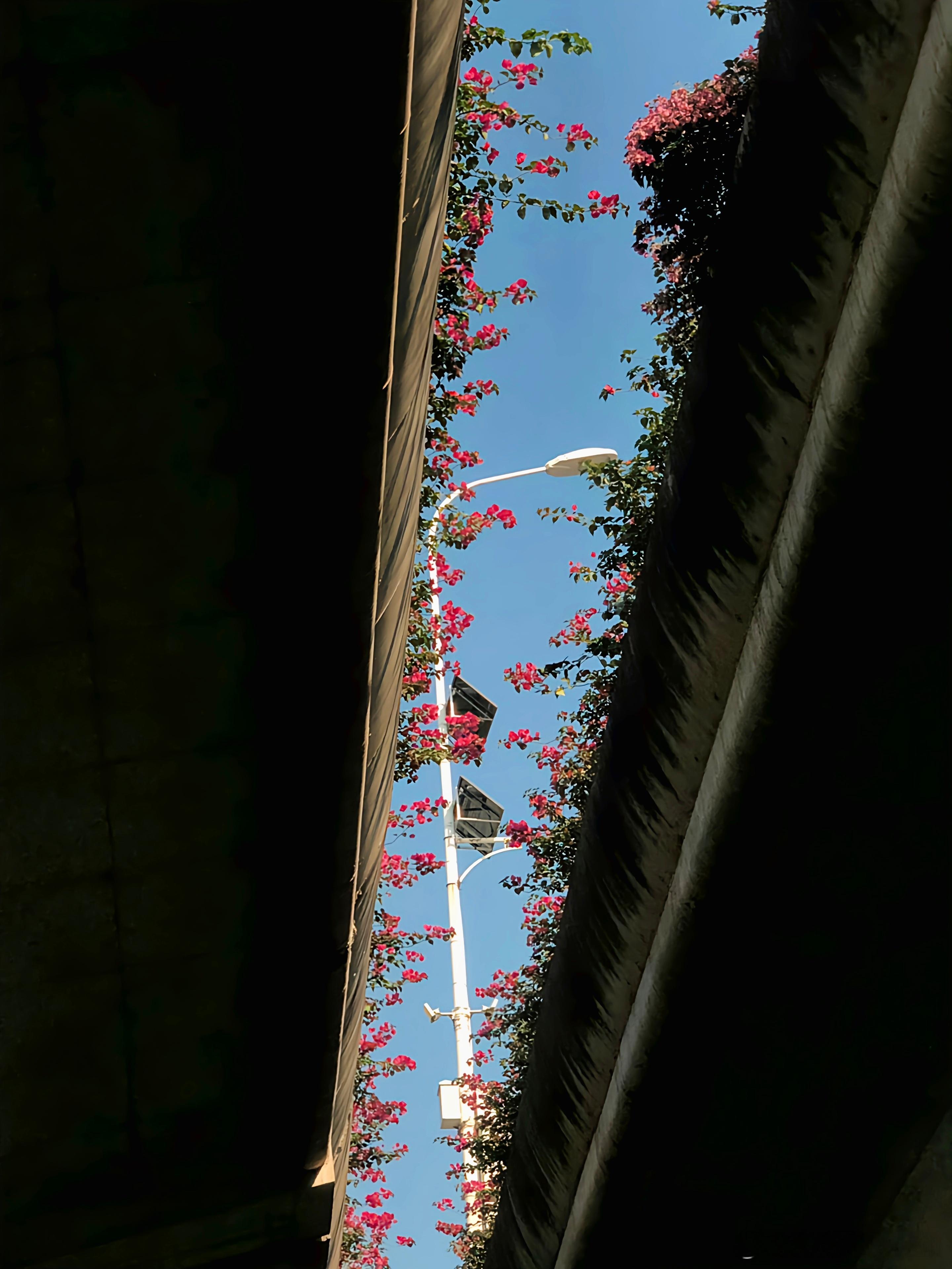 春末 ​​​