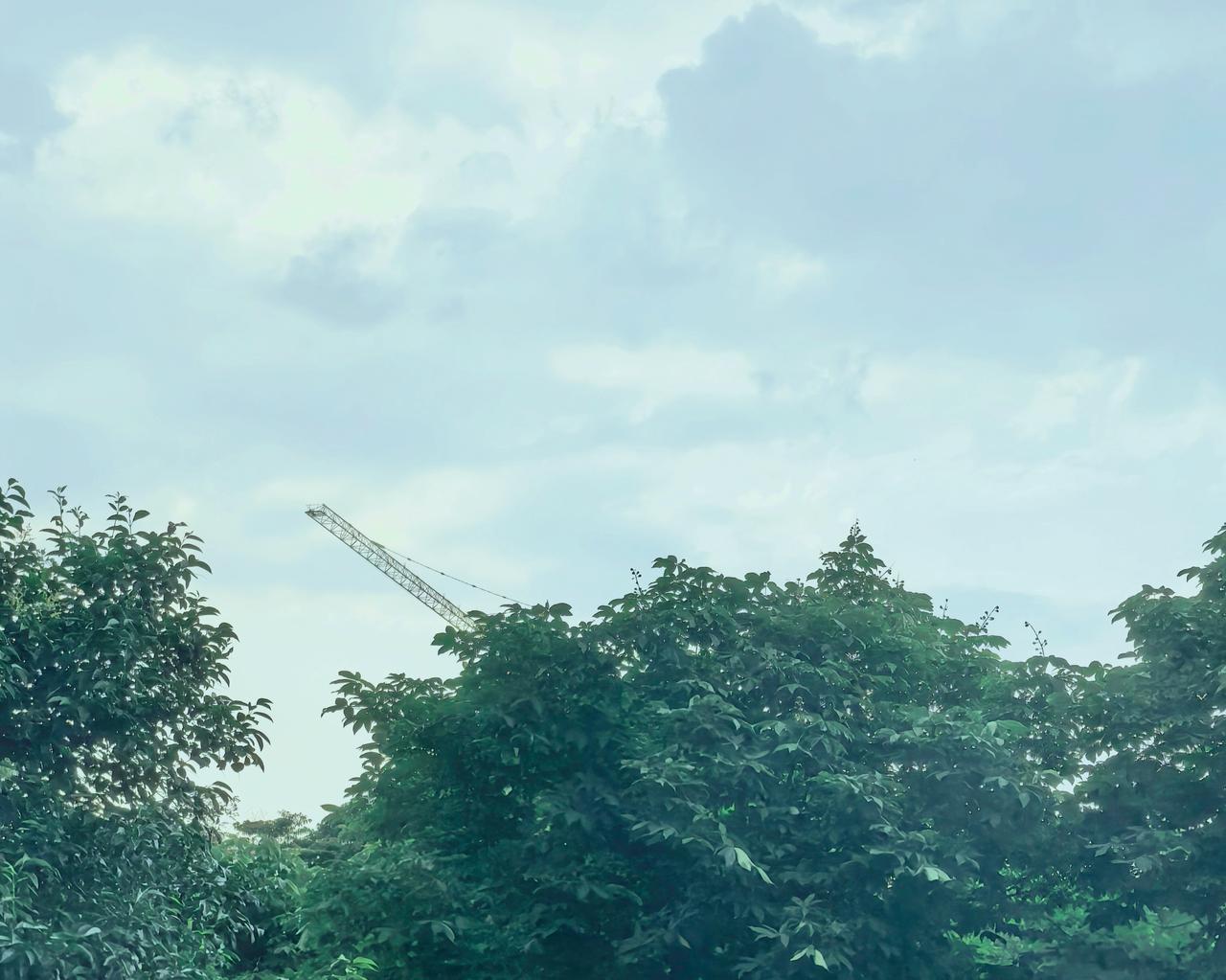 天空藏在一架会摘云朵的塔吊 
他悄悄伸出长臂，
把蓬松的云絮构成了棉花糖了
而绿