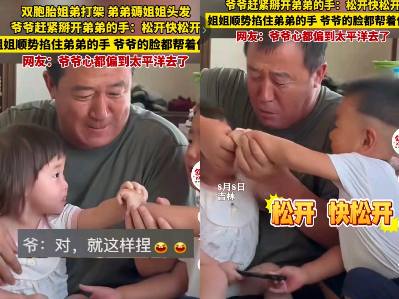 咱就说这爷孙仨的互动也太有戏了
吉林一对双胞胎姐弟打架
弟弟薅姐姐头发，爷爷赶紧