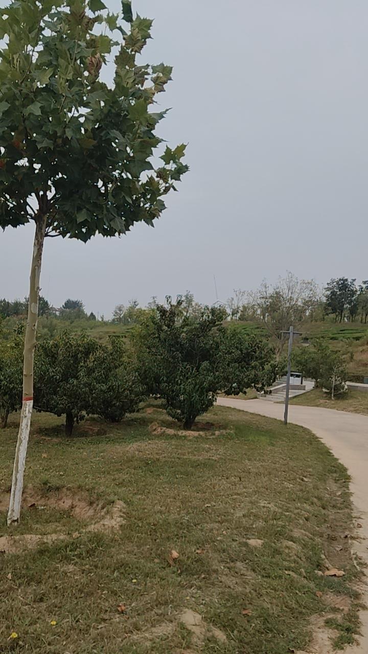 锻炼时，碰到一对夫妇，男的八十岁了，比我的气色都好。闲聊起来。
“平时吃啥好饭？