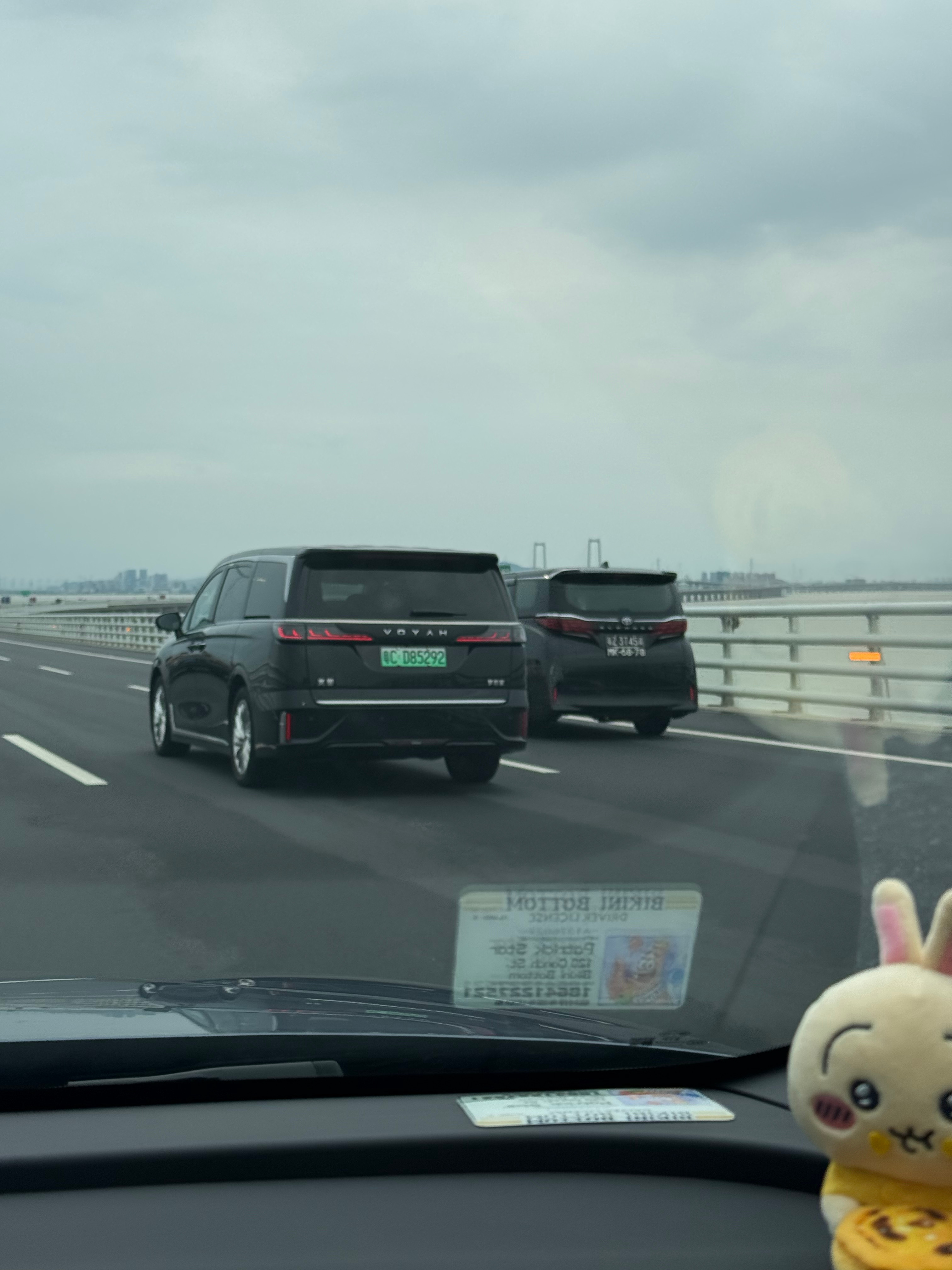 深圳这种经济特区商务车还是多，目测除了两地埃尔法，岚图梦想家 就是第二多了[不愧