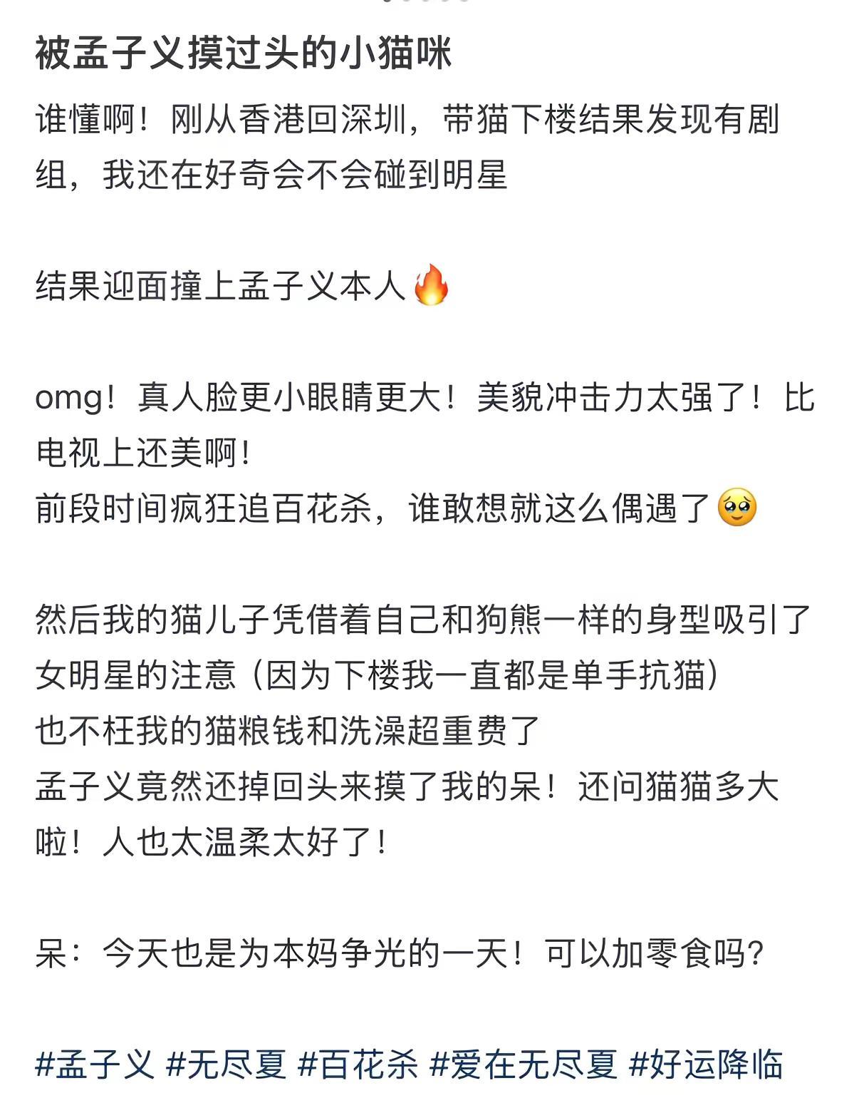 现在变成小猫咪去找孟子义摸摸来得及么 →📚水金孟子义 猫咪