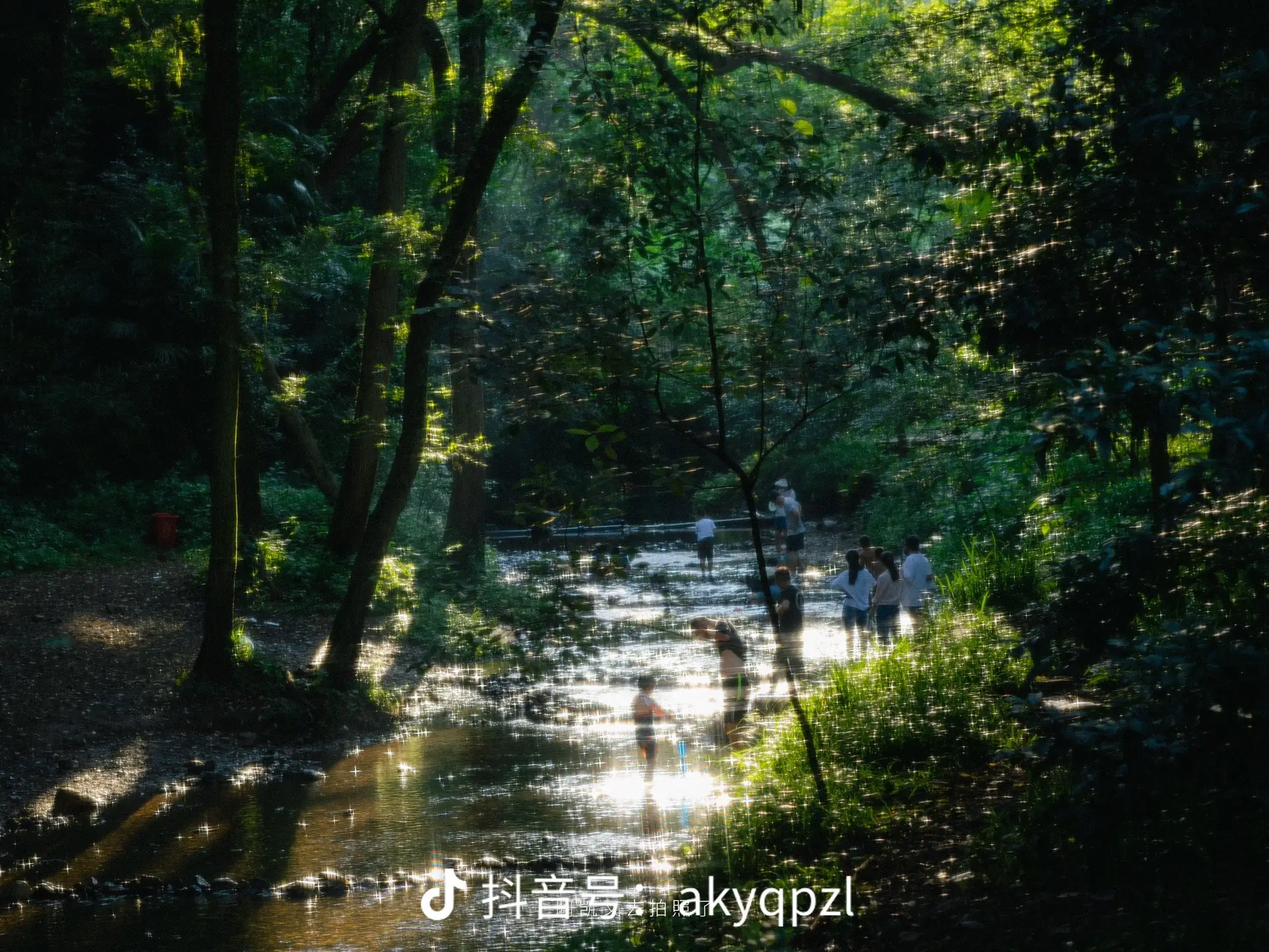 2023摄影年度摄影总结 part.2。