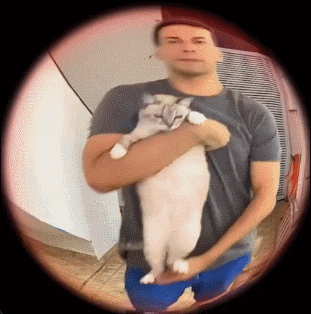 男子带着猫咪来拜访 ​​​