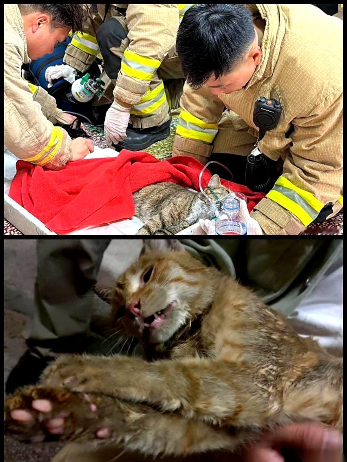 香港这场五级大火，说实话，看得我头皮发麻。
那是真玩命啊！
但在那么恐怖的炼狱里