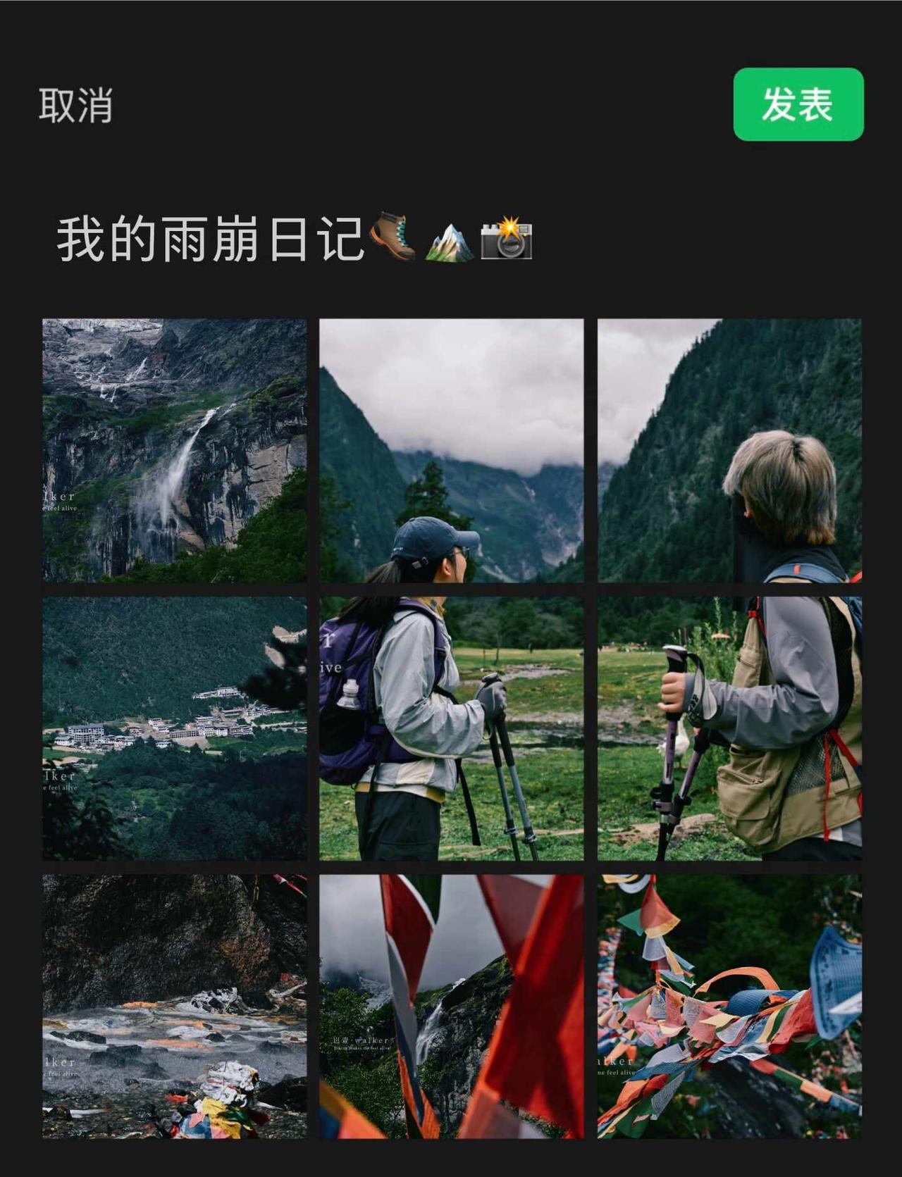 雨崩行记 · 山野自有答案
往森林深处走
听风穿林叶
看光影落肩头
	
脚步放慢