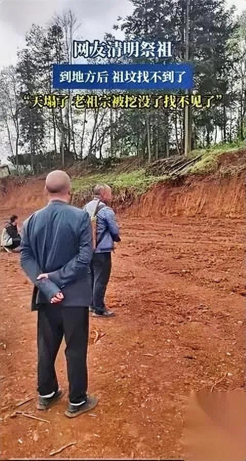 真的能气到跺脚！

谁遇上谁窝火。

清明回村祭祖的网友，到山脚下直接傻了——自