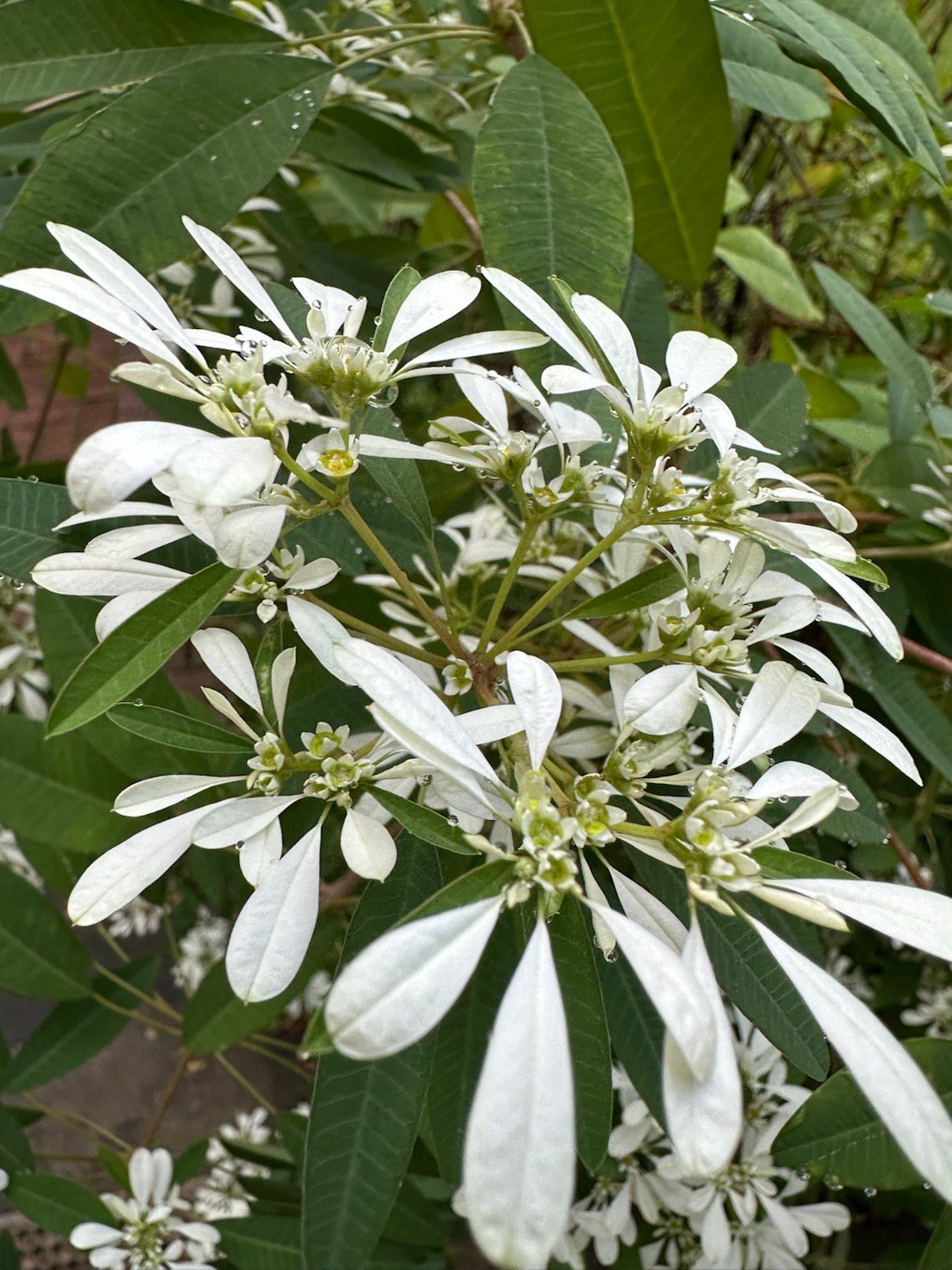 生活手记养娃日常就随手拍拍没啥主题每天看的景色都差不多