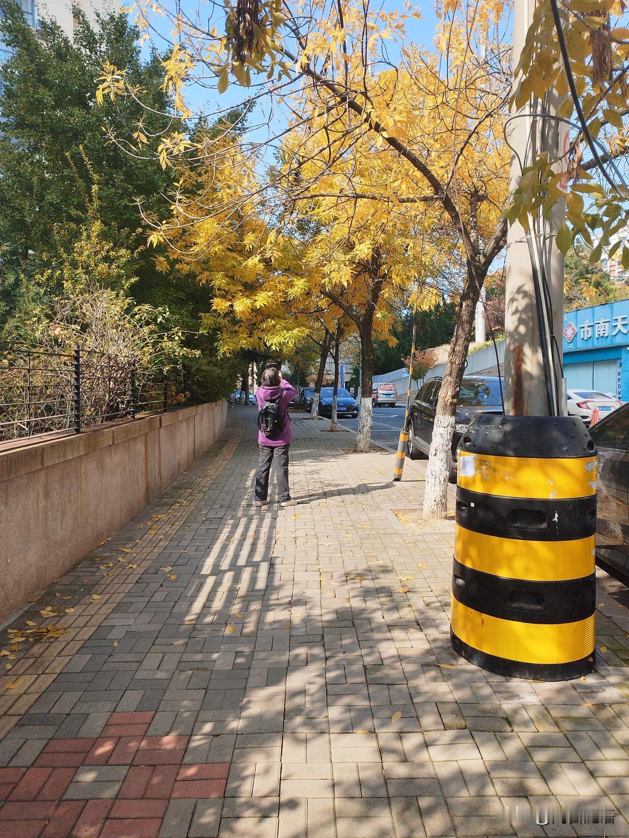 我后面还有一对老夫妻，我不知道他们有没有在笑话我：“小样儿，你这小心思，老夫一眼