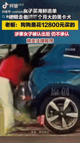 河北秦皇岛，一名女子在店内买海鲜后，她趁老板不注意将汽车后备箱内一只两个月大的美