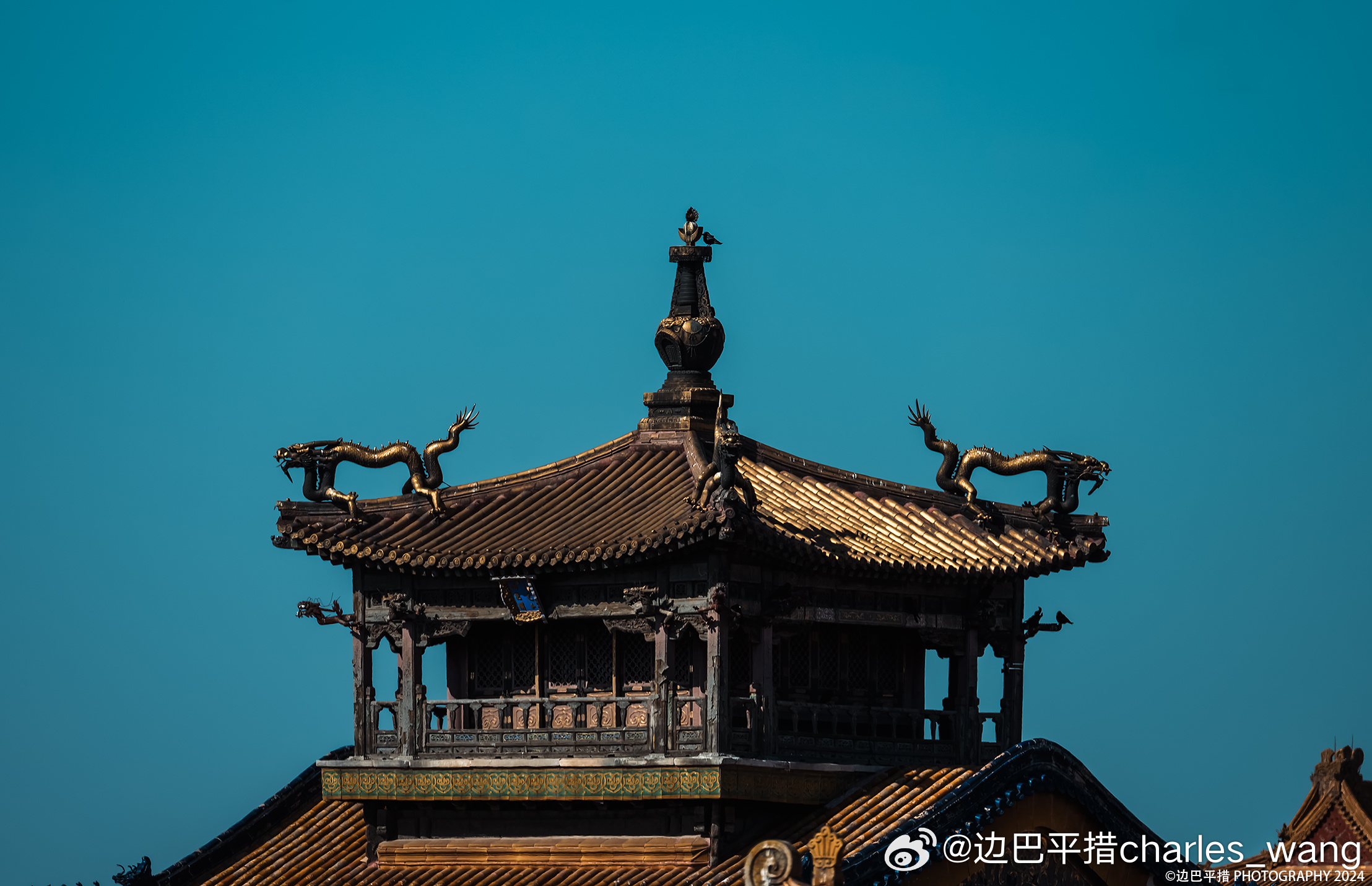 北京故宫探春摄影​​​