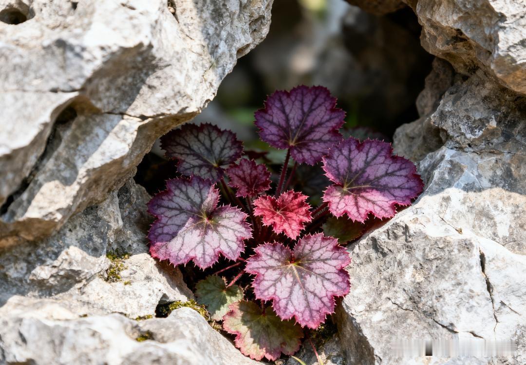 我家耕地里有座坟，看着有好几十年了，一直没人来上过坟。我父母在世时心善，从没想过