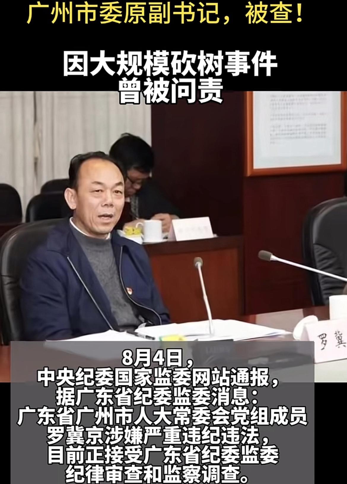 20-21年广州砍伐榕树，很多人可能都不是很了解事件的来龙去脉！

本人住广州，
