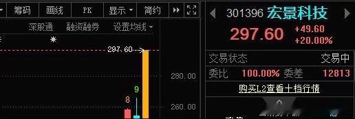 嗯，宏景科技301396📈喜提20CM大长腿