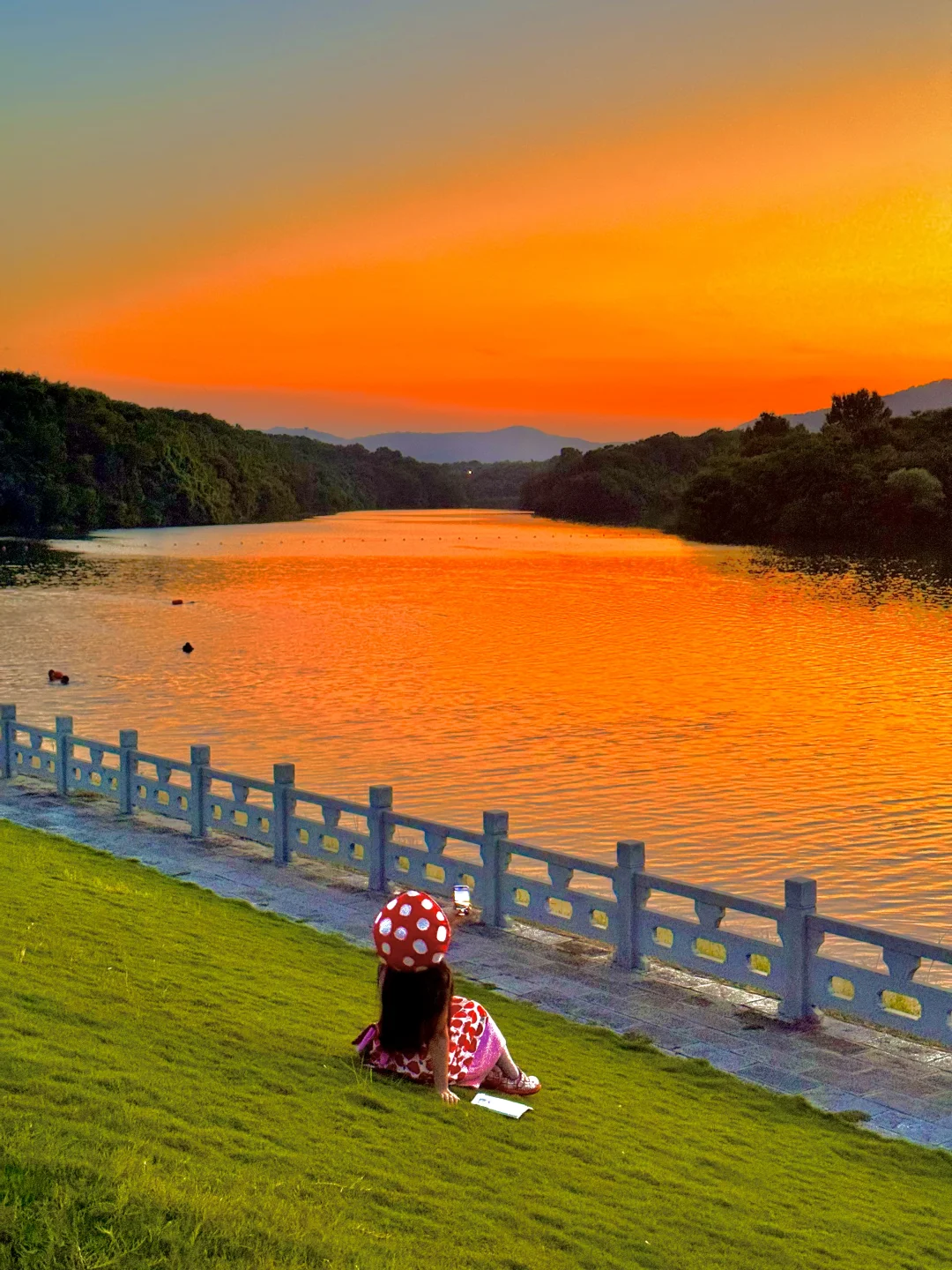 以为玄武湖已经够美了！直到我来了这里…