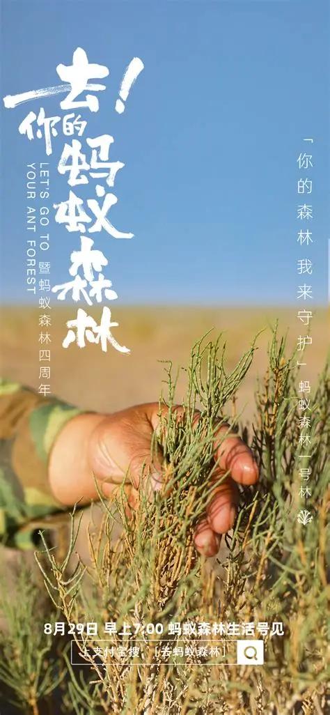 曾经还受到过质疑，现在看见荒漠一点点有了绿洲的样子，蚂蚁森林这十年都做了什么？