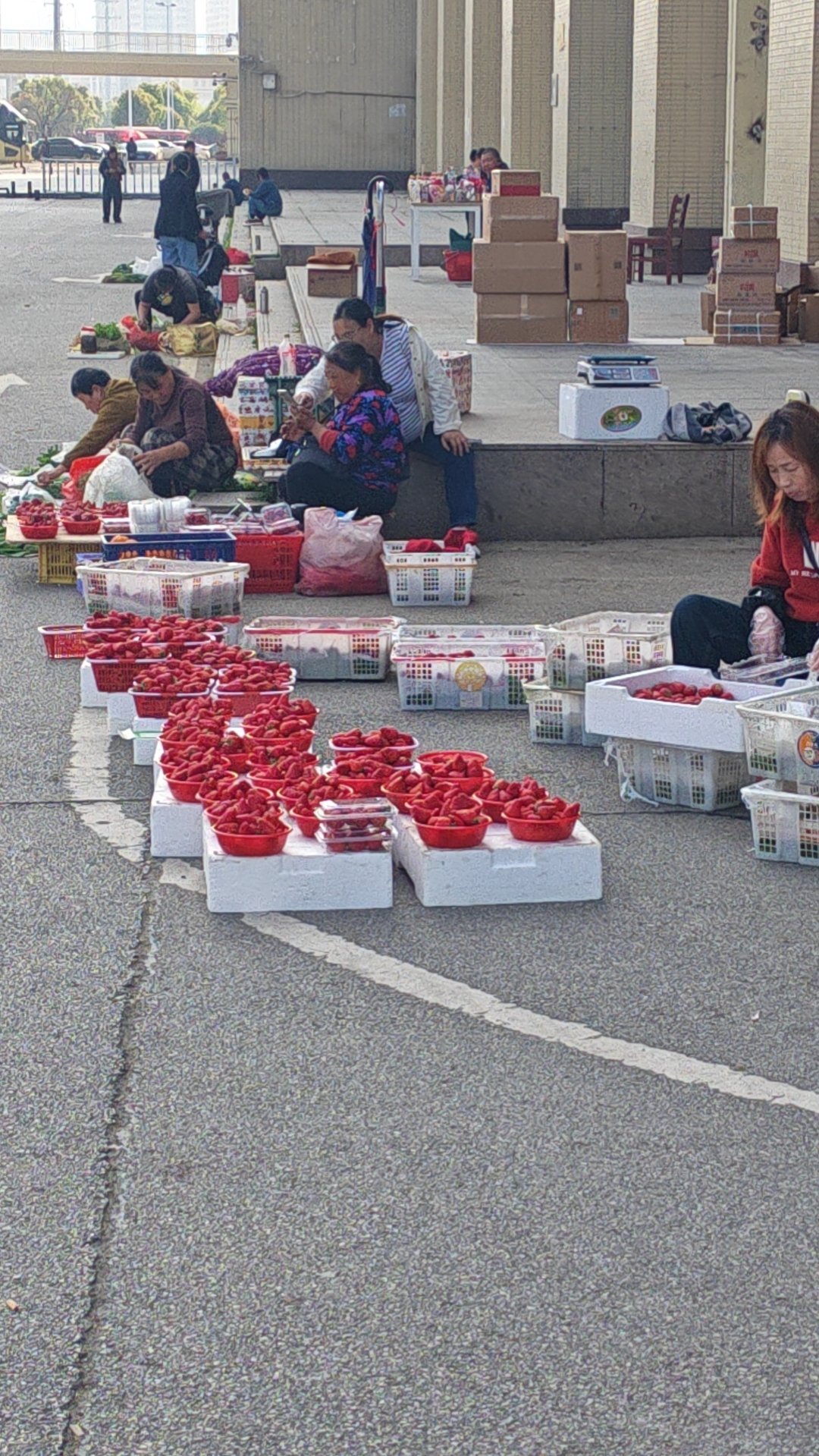 一日三餐一人食 上周的伙食，简直就是“美食连连看”：每天打开饭盒，都像是在玩配对