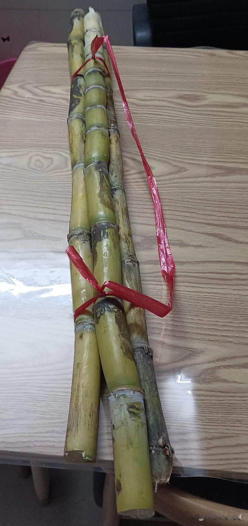 谁好像我这样吃甘蔗的了？4块钱一根甘蔗，不知道贵还是便宜了？
买感觉都不便宜，今