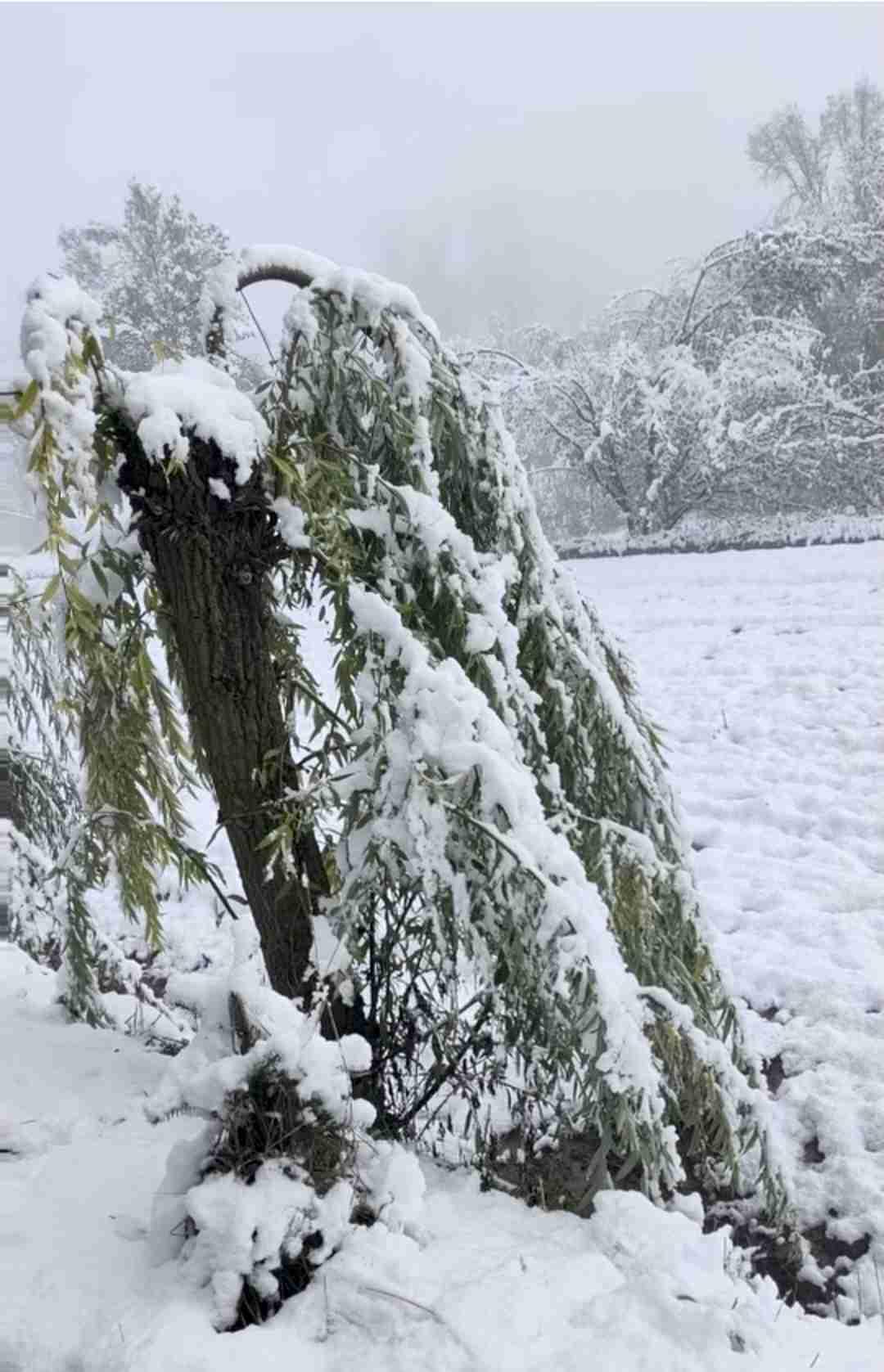带定位晒今日生活 
我的今日状态：邂逅了家乡的雪
我这里的天气：晴转多云
今天在