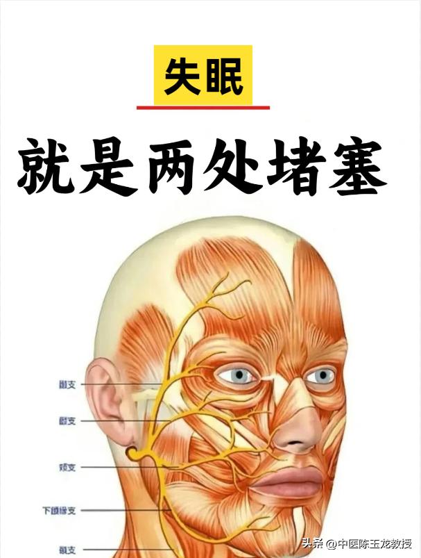 失眠，不但能治，而且好治。

失眠它不仅影响白天的工作效率，还对身体造成诸多伤害